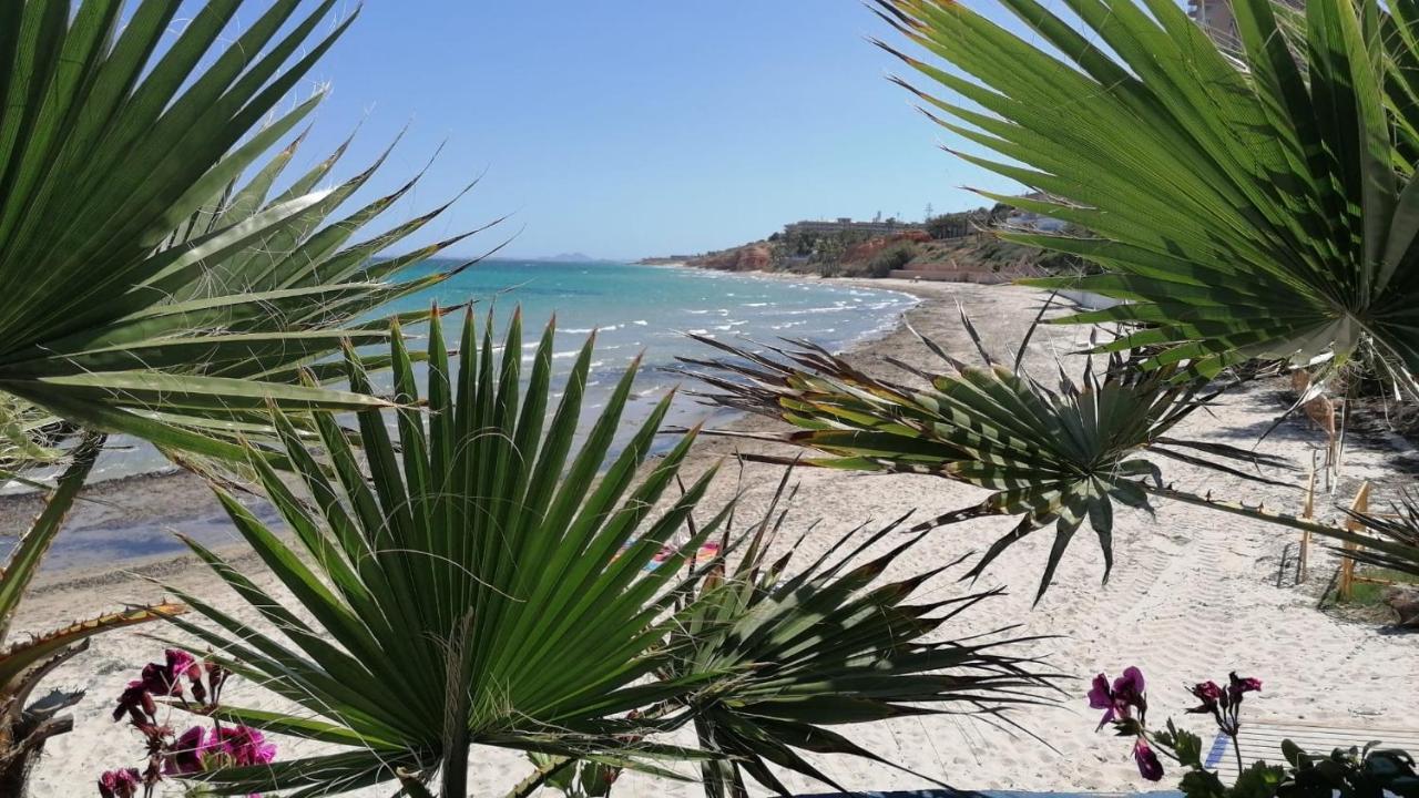Mirador De Aguamarina Apartamento Campoamor Exterior foto